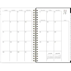 2024-2025 Blue Sky Belinda Selene Lucy 5