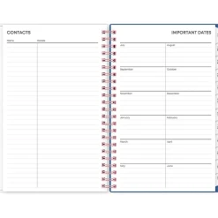 2024-2025 Blue Sky Brandice 5