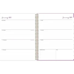 2025 Blue Sky Britt Mills Citrus Sunrise 8.5" x 11" Weekly & Monthly Planner, Plastic Cover, Multicolor (148026)