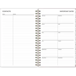 2025 Blue Sky Checkerboard 5