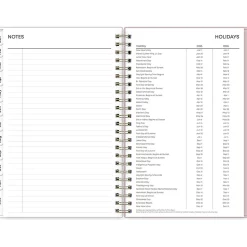 2025 Blue Sky Checkerboard 5
