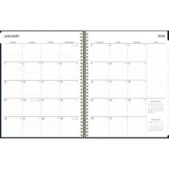 2025 Blue Sky Cheeyna 8.5