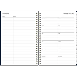 2025 Blue Sky Cheeyna 5.88