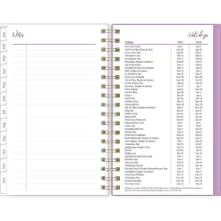 2025 Blue Sky Citrus Sunrise 3.63