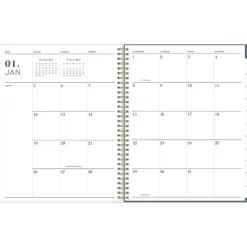 2025 Blue Sky Cocolie 8.5