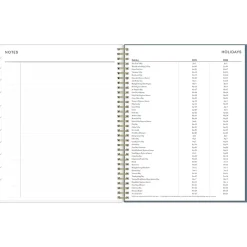 2025 Blue Sky Cocolie 8.5