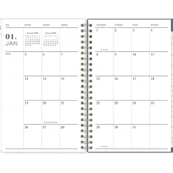 2025 Blue Sky Cocolie 5