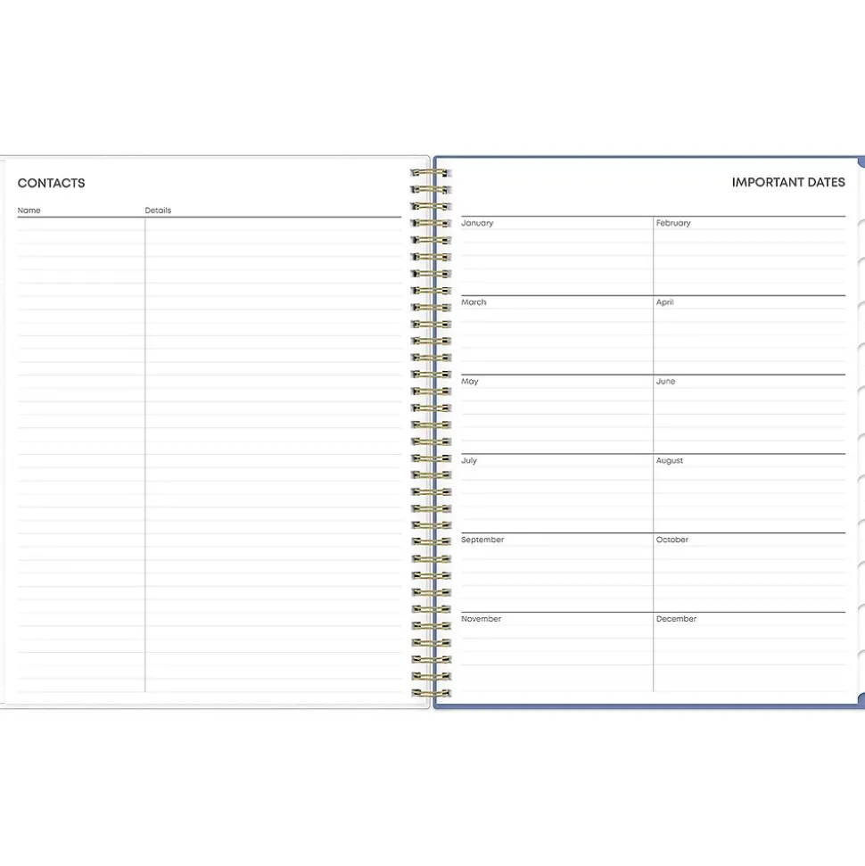 2025 Blue Sky Cocorrina 8.5" x 11" Weekly & Monthly Planner, Plastic Cover, Multicolor (143696-25)