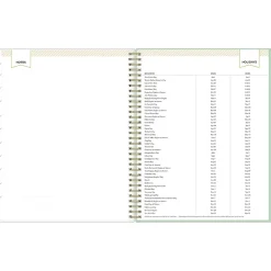 2025 Blue Sky Day Designer Arcadia 8.5