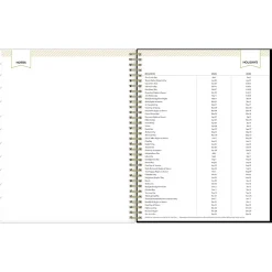 2025 Blue Sky Day Designer Austen 8.5