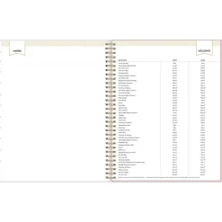 2025 Blue Sky Day Designer Breeze 8.5