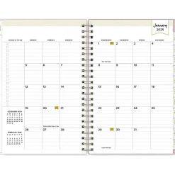 2025 Blue Sky Day Designer Breeze 5