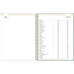 2025 Blue Sky Day Designer Felicity 8.5