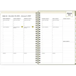 2025 Blue Sky Day Designer Fiore 5.88" x 8.63" Weekly & Monthly Planner, Plastic Cover, Multicolor (148141)