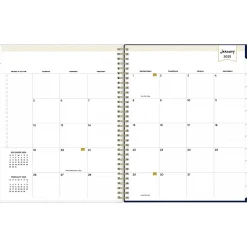 2025 Blue Sky Day Designer Meadow 8.5