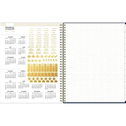 2025 Blue Sky Day Designer Meadow 8.5