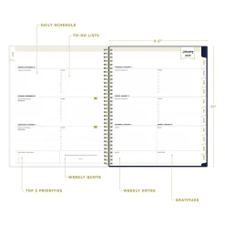 2025 Blue Sky Day Designer Meadow 8.5