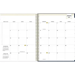 2025 Blue Sky Day Designer Peyton Navy 8.5