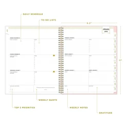 2025 Blue Sky Day Designer Roses Blush 8.5