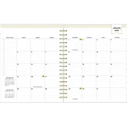 2025 Blue Sky Day Designer Rugby Stripe 8