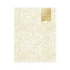 2024-2025 Blue Sky Day Designer Spotty Small Gold 8.5" x 11" Academic Monthly Planner, Plastic Cover, White/Gold (149829)