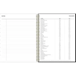 2025 Blue Sky Deelie 8.5