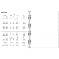 2025 Blue Sky Enterprise 8.5