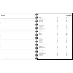 2025 Blue Sky Fran 8.5