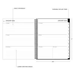 2025 Blue Sky Fran 8.5