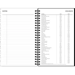 2025 Blue Sky Fran 5