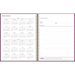 2025 Blue Sky Gili 8.5