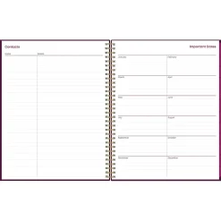 2025 Blue Sky Gili 8.5