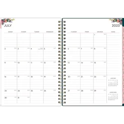 2023-2024 Blue Sky Greta 6.44