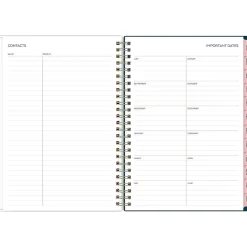 2023-2024 Blue Sky Greta 6.44