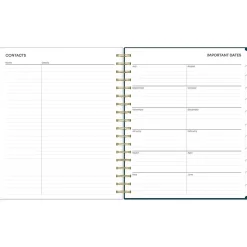 2024-2025 Blue Sky Greta 8