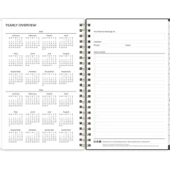 2025 Blue Sky Hadley 5