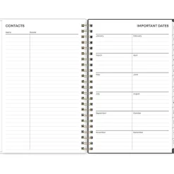 2025 Blue Sky Hadley 5