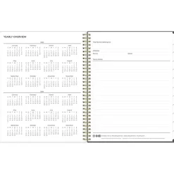 2025 Blue Sky Hadley 8.5
