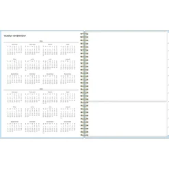 2024-2025 Blue Sky Jordy Blue 8.5