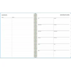 2024-2025 Blue Sky Jordy Blue 8.5