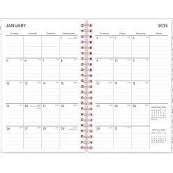 2025 Blue Sky Joselyn 5