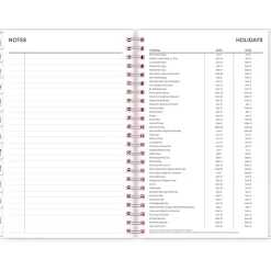 2025 Blue Sky Joselyn 5