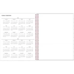 2025 Blue Sky Joselyn 8.5