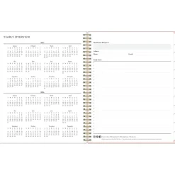 2025 Blue Sky Julissa 8.5