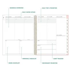 2025 Blue Sky Julissa 8.5