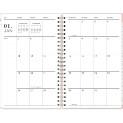 2025 Blue Sky Julissa 8.5