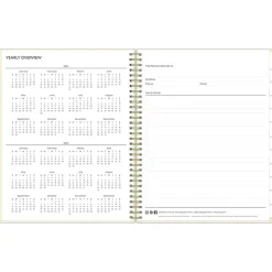 2024-2025 Blue Sky Junie 8.5