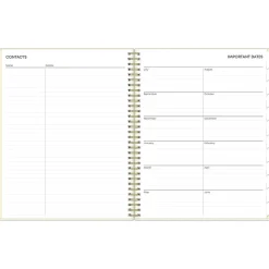 2024-2025 Blue Sky Junie 8.5