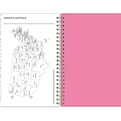 2025 Blue Sky Juno Pink 5