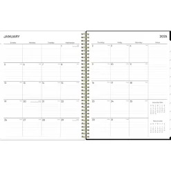 2025 Blue Sky Katya 8.5